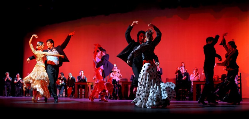 flamenco-4