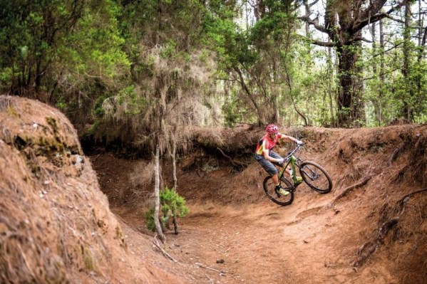 mountain_bike_2