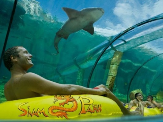 siam-park-3