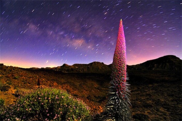teide-at-night-1