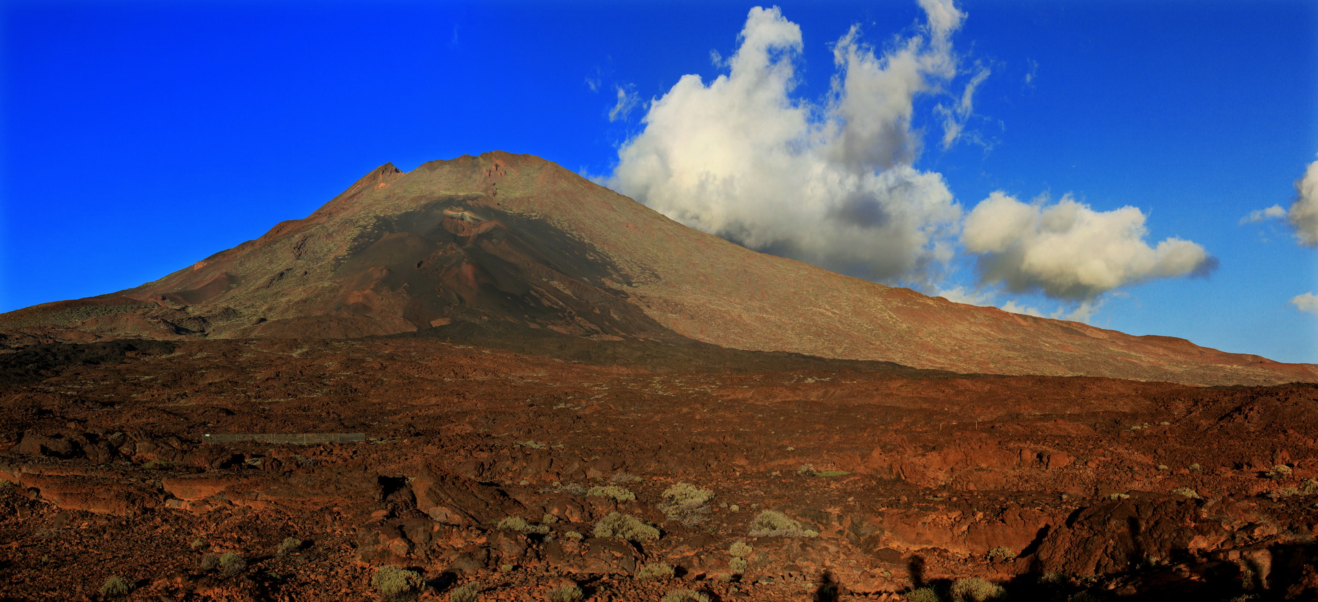 [Group 6]-IMG_3957_IMG_3970-14 images G