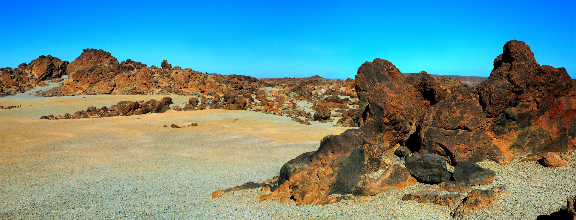[Group 7]-IMGL2531_IMGL2534-4 images -2 GG