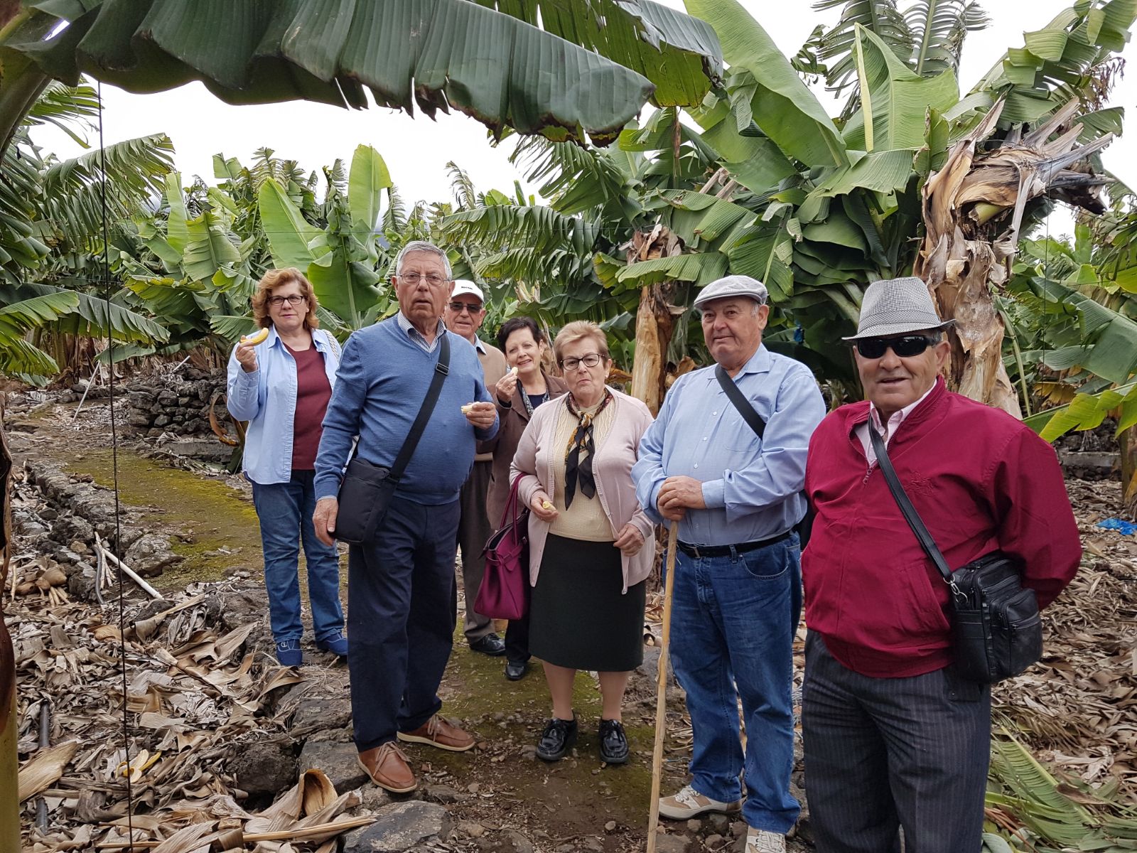 2018-04-26 at 11.25.32